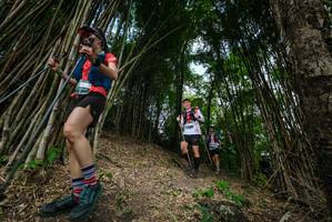 BIB: 
                            <button type="button" onclick="openModal(19395763)" class="btn btn-primary btn-sm float-right btn-popup" data-toggle="modal" data-target=".modal-high-quality">
                        <i class="fas fa-shopping-cart"></i> Add to Cart
                    </button>
                                            <button type="button" onclick="isThisMe(19395763, true)" class="btn btn-success btn-sm float-right btn-popup btn-isme hidden" data-toggle="tooltip" data-placement="bottom" title="นี่คือรูปของคุณใช่ไหม คลิกที่นี่เพื่อเอาเข้าอัลบั้ม">
                        <i class="fas fa-plus"></i> Add to album
                    </button>
                    <button type="button" onclick="isThisMe(19395763, false)" class="btn btn-warning btn-sm float-right btn-popup btn-isnotme hidden">
                        <i class="fas fa-ban"></i> Remove from album
                    </button>